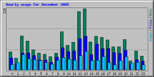 Hourly usage for December 2005